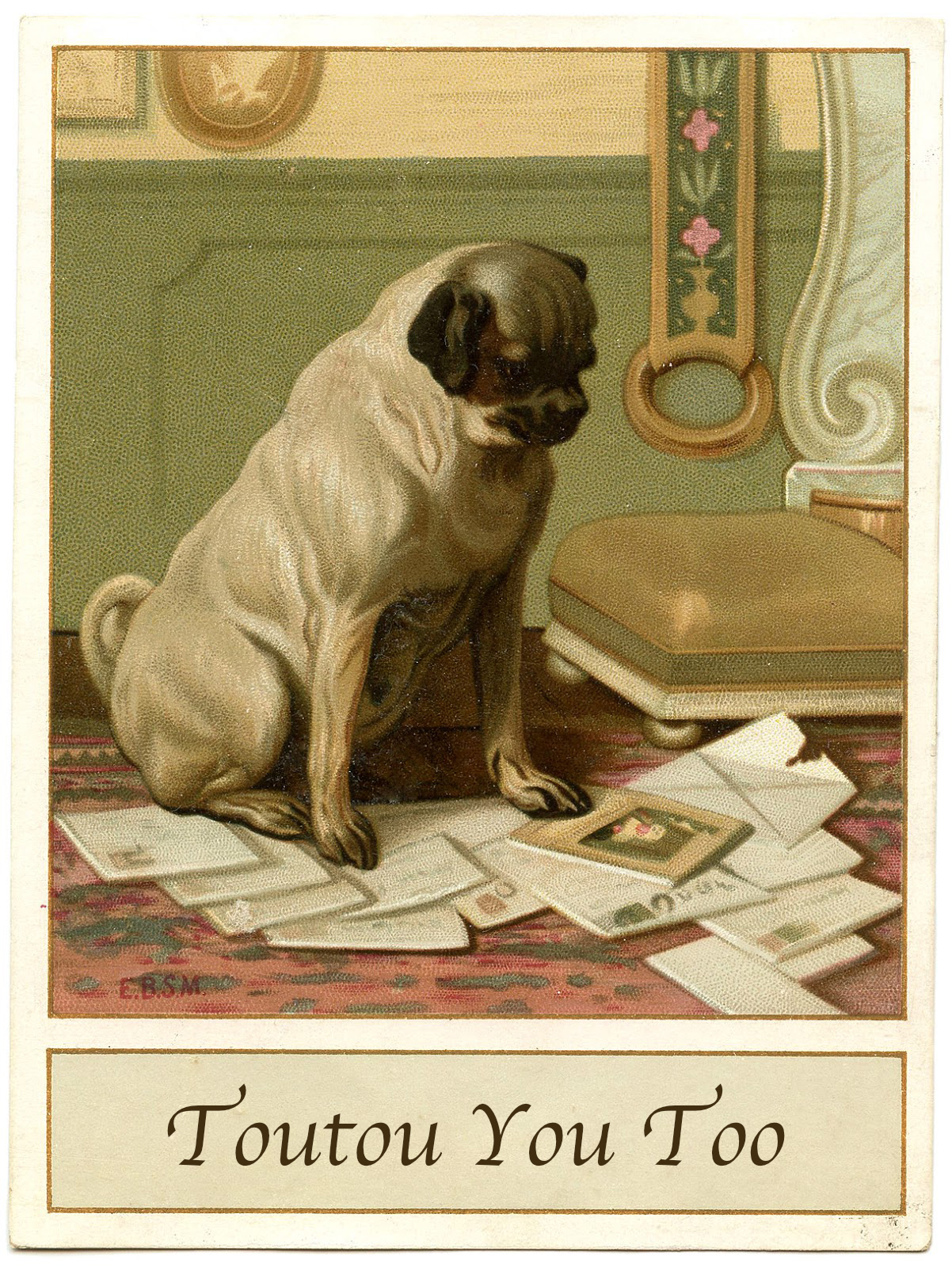 chien se demandant qui il est vraiment